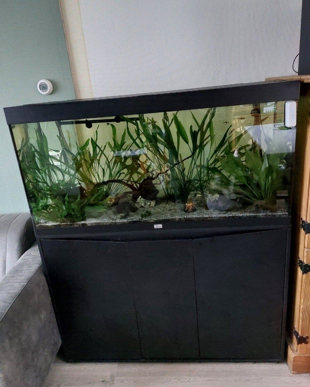 Aquatlantis splendid 120 cm, pomp, led controller, 240 liter, Dieren en Toebehoren, Ophalen, Leeg aquarium