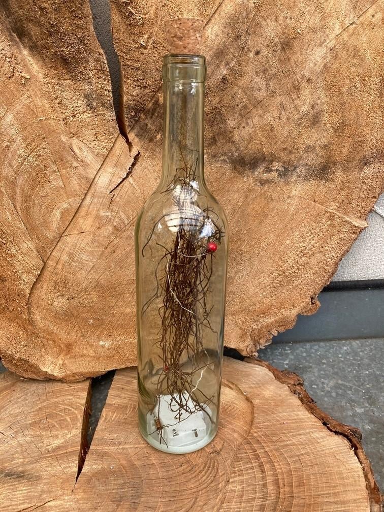 FLES MET TAKJES EN LED LICHTJES NIEUW, -, -, Nieuw, Ophalen of Verzenden