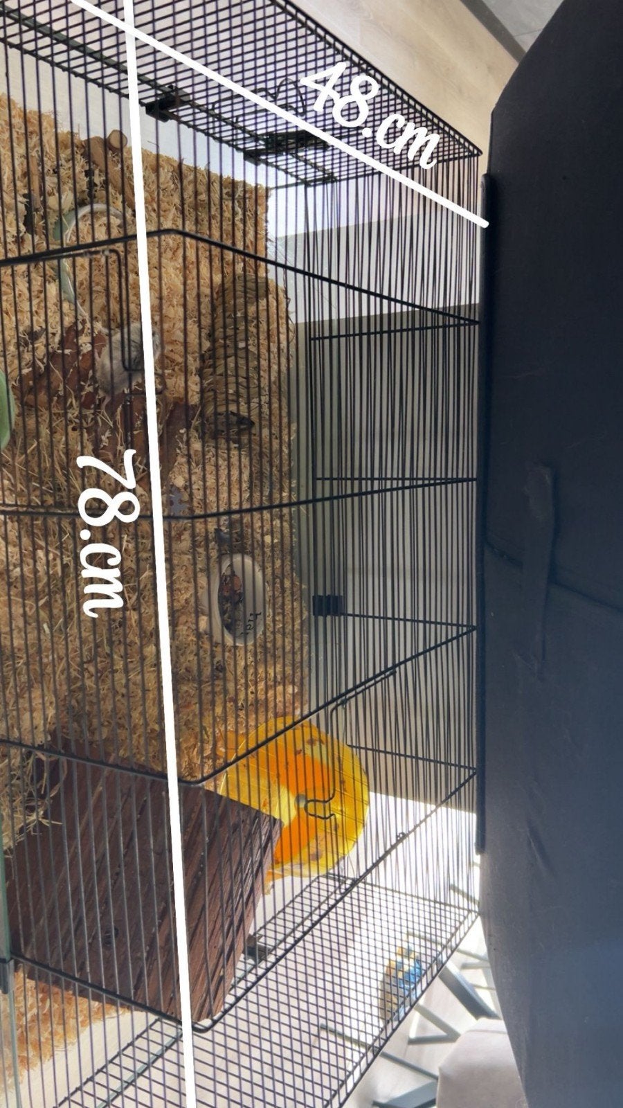 Hamsterkooi, Ophalen, Kooi, 60 tot 90 cm, Hamster