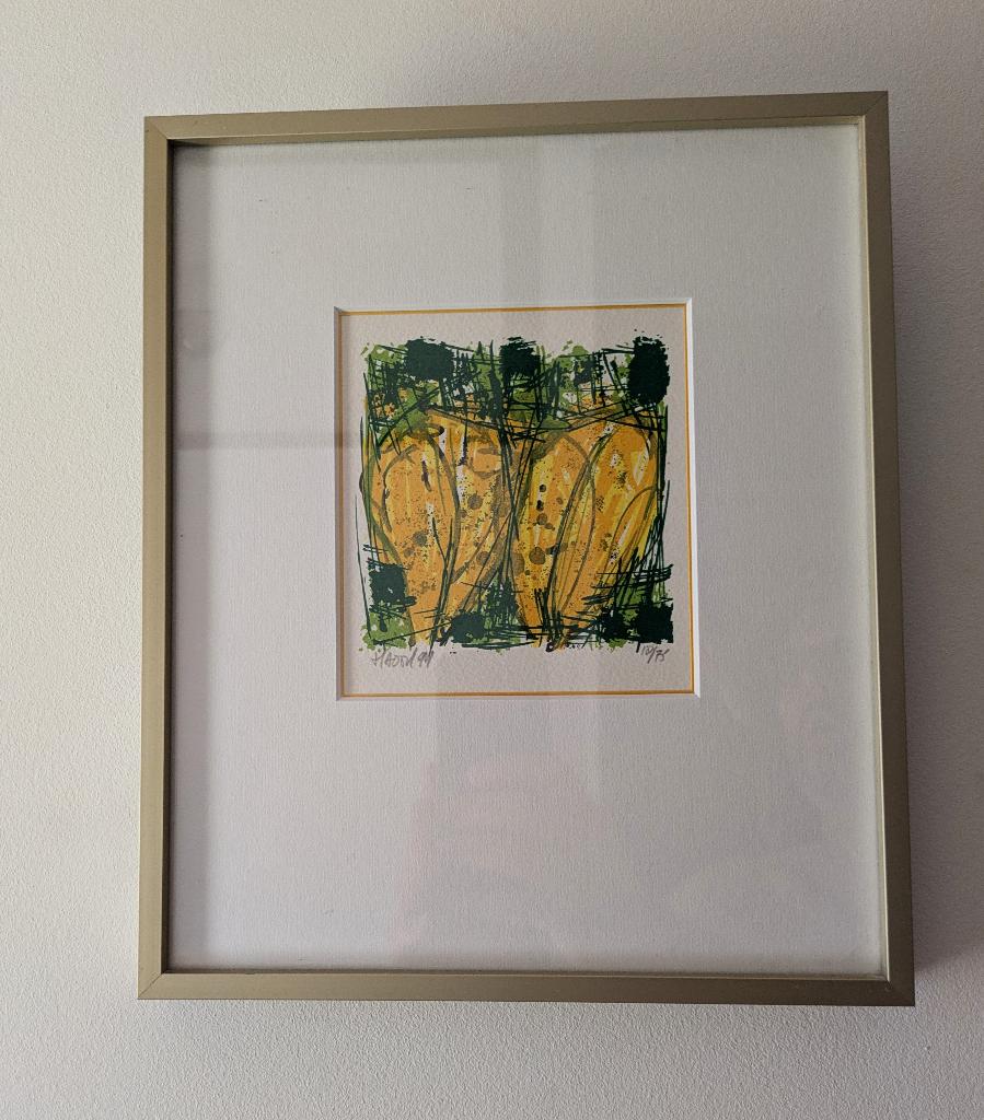 Zeefdruk Ad van Hassel - Tulpen 23,5*28 cm, Ophalen of Verzenden