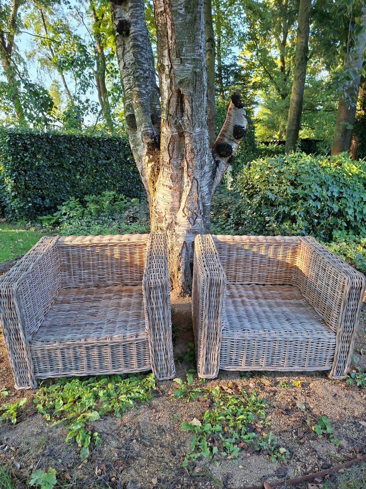 Tuinstoelen van rotan, Gebruikt, Rotan, Loungeset, Stoel