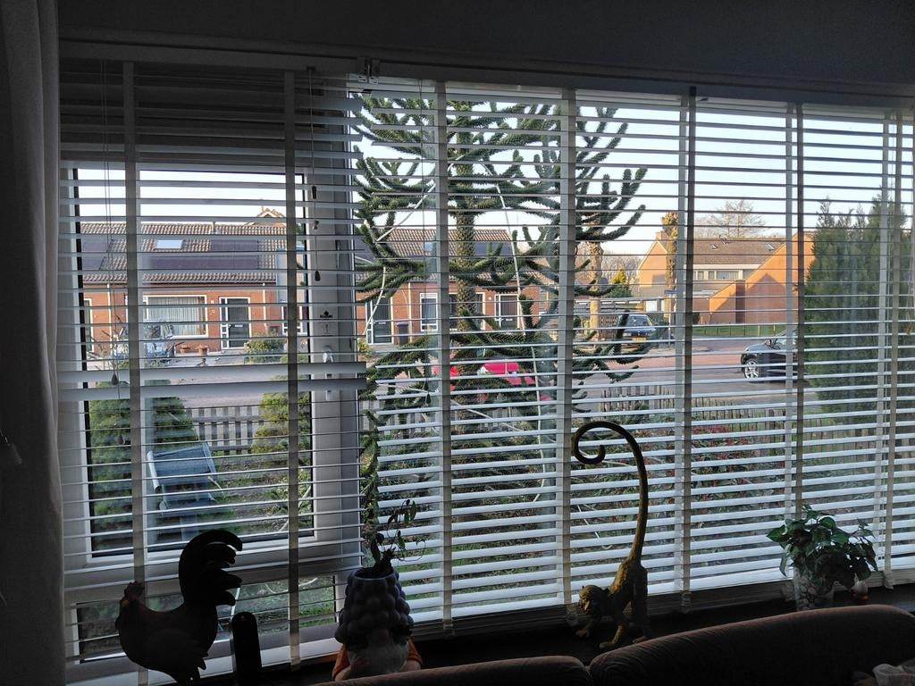 Houten luxaflex, Ophalen, Zo goed als nieuw, Wit, 200 cm of meer