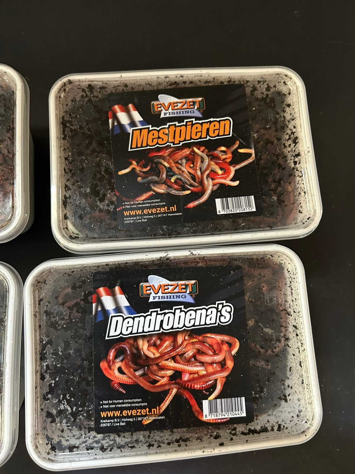 UITVERKOOP Bamibakken verse Wormen 2 voor €15, Ophalen, G, Overige typen, Nieuw