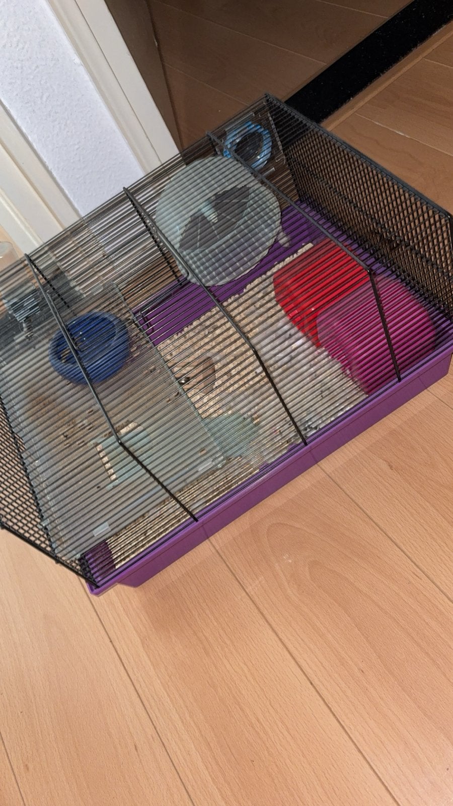 GRATIS hamsterkooi met accessoires, Dieren en Toebehoren, Kooi, Minder dan 75 cm, Zo goed als nieuw, Ophalen