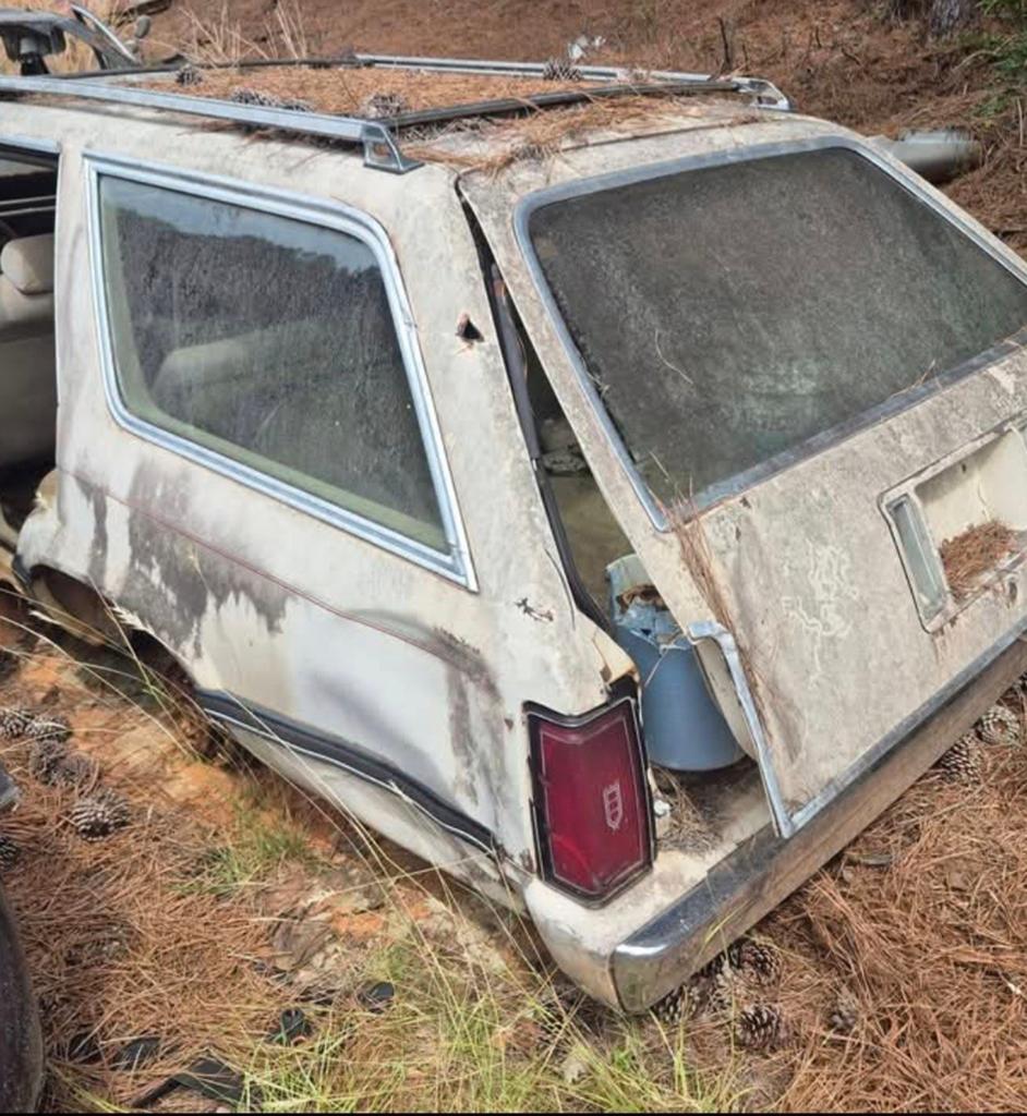 Gezocht : achterlichten ford ltd wagon foxbody fairmont, Ophalen, Ford