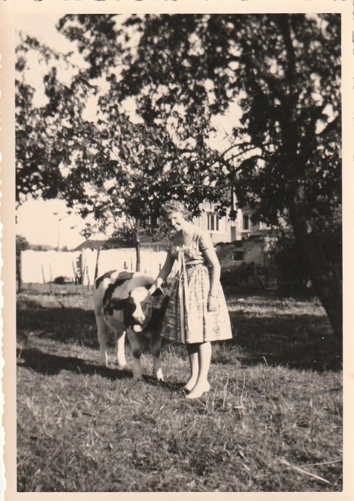 familie  foto   -  dame  met  koe   - 8 op 11 cm, Ophalen of Verzenden, Voor 1940, Zo goed als nieuw