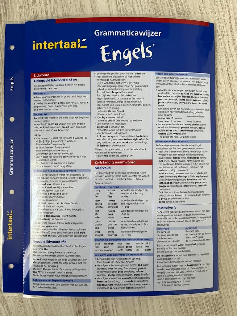 Grammaticawijzer Engels Intertaal 9789054516798, Boeken, Ophalen of Verzenden, Alpha, Nieuw