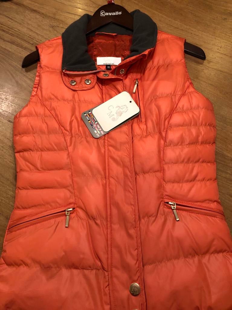 Cavallino Bodywarmer Oranje - Nieuw met kaartje!, Ophalen of Verzenden, Nieuw, Maat 34 (XS) of kleiner, Oranje