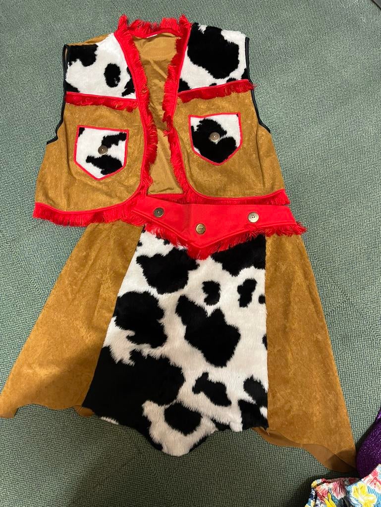 Carnaval cowboy rok + hesje bruin mt. 40/L, Kleding | Dames, Carnavalskleding en Feestkleding, Maat 38/40 (M), Carnaval, Ophalen of Verzenden