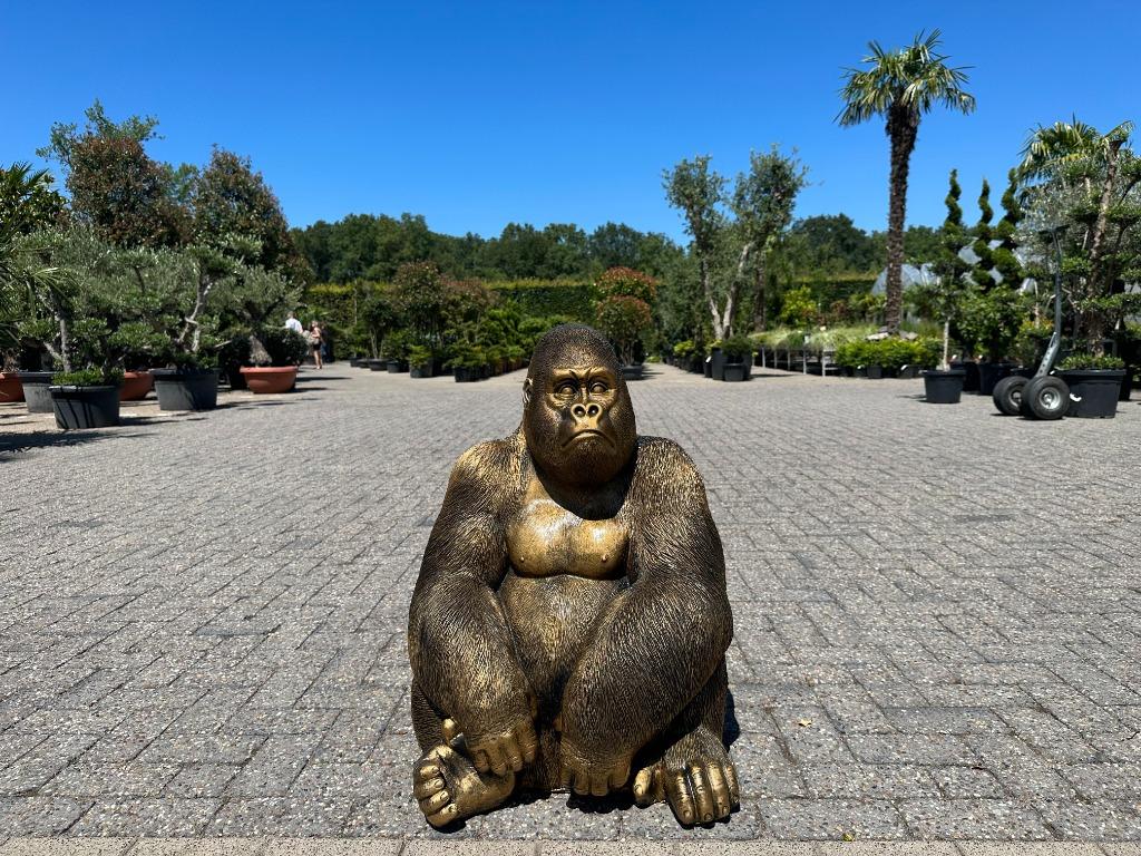 Brons -goud kleurig Gorilla beeld te koop, Tuin en Terras, Tuinbeelden, Ophalen, Nieuw, Kunststof, Dierenbeeld