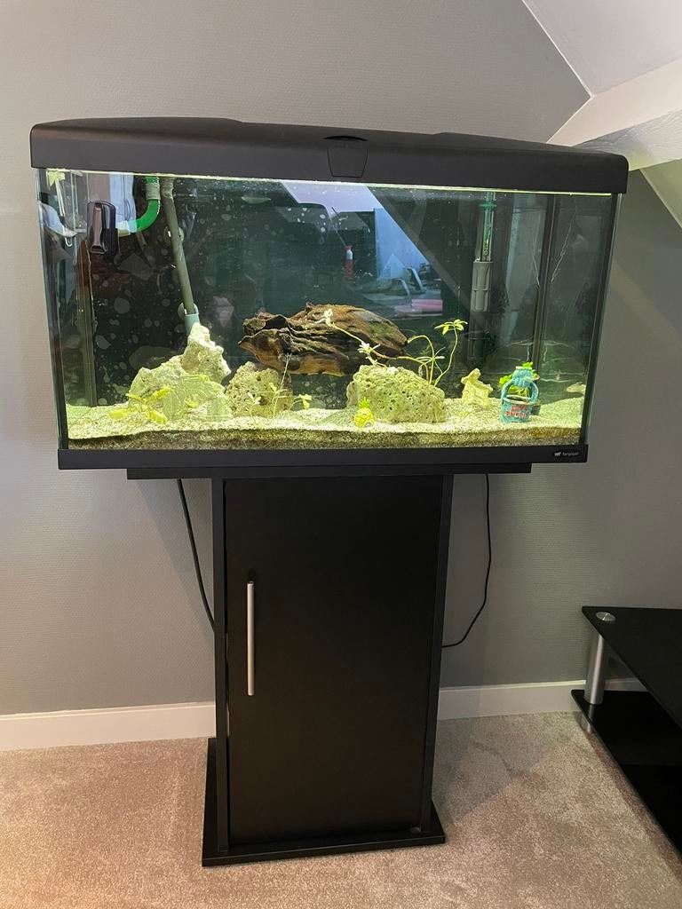 Aquarium Ferplast, Eheim 4+ buiten filter, led, verwarming, Dieren en Toebehoren, Ophalen, Gebruikt, Gevuld zoetwateraquarium