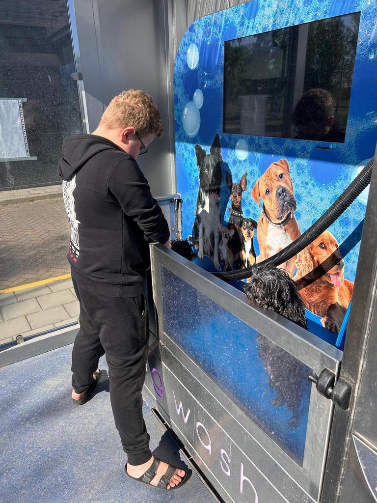 Betrouwbare tiener biedt hond uitlaatservice in Ridderkerk, Uitlaatservice