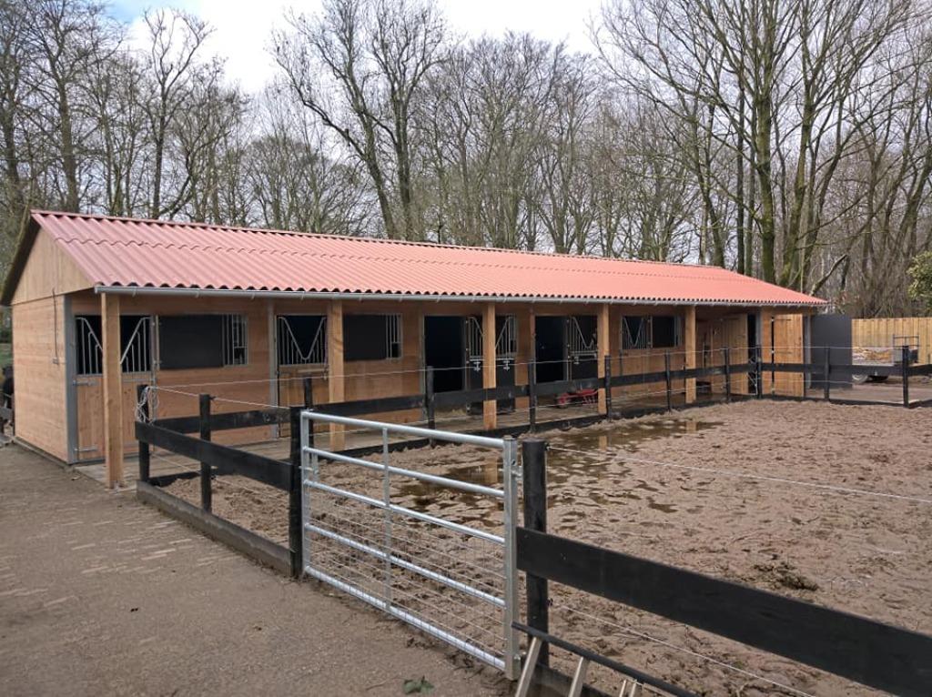 dubbelwandige paardenstallen, Weidegang, 4 paarden of pony's of meer