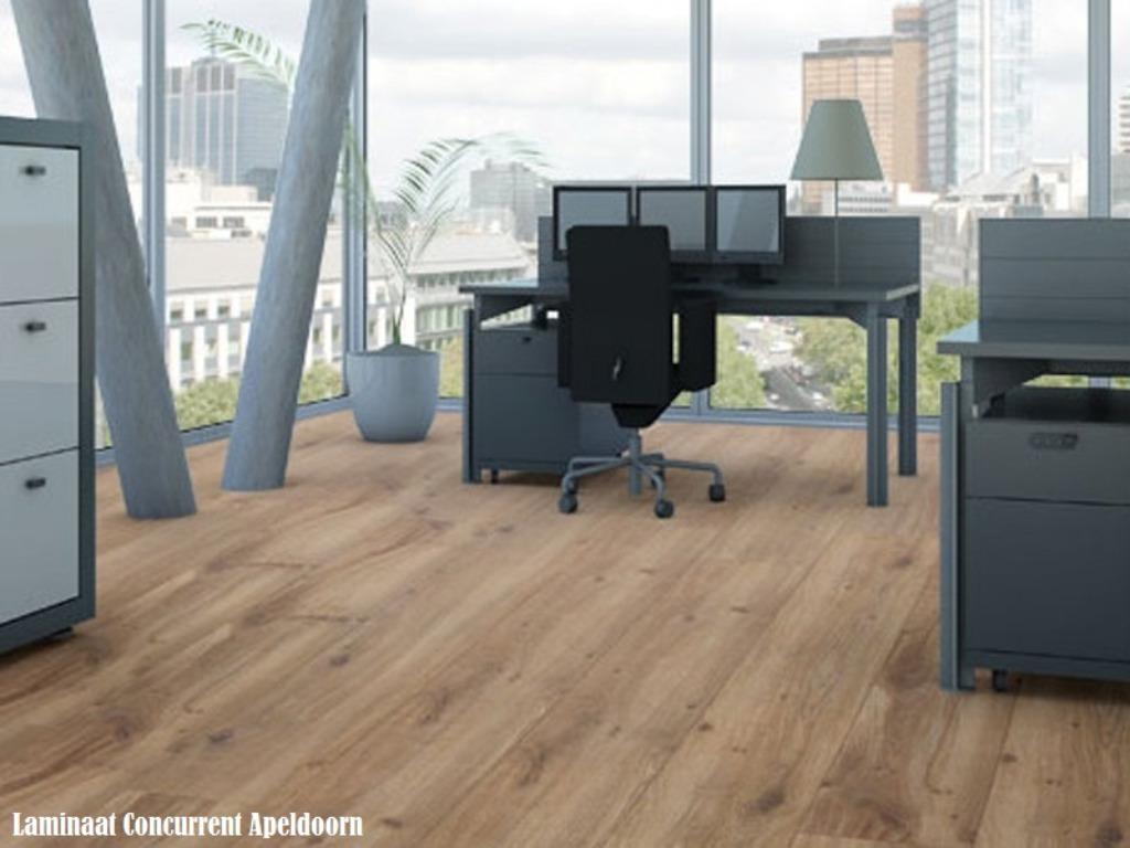 Laminaat Winter Eik Michele 8mm dik met 4V-groev €9,95p/m2, Bruin, 75 m² of meer, Nieuw, Ophalen of Verzenden