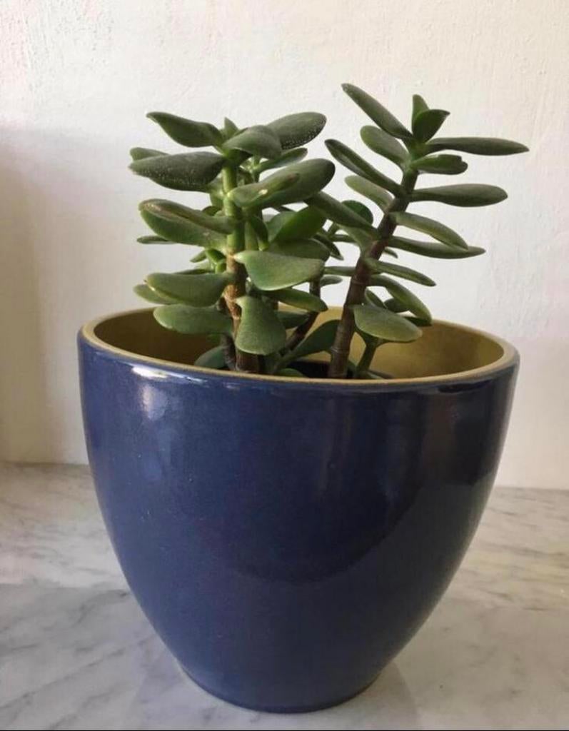 Grote keramische terracotta bloempot vintage’60 diverse, Rond, Ophalen of Verzenden, Zo goed als nieuw, Minder dan 40 cm