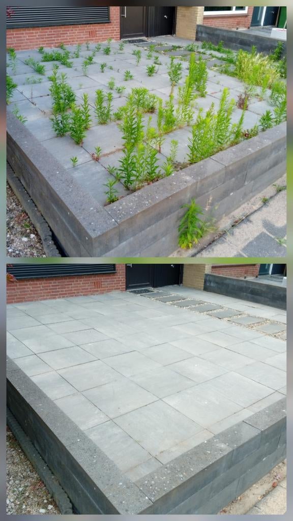 Tuinman/hovenier/tuinhulp gezocht/aangeboden, Diensten en Vakmensen, Tuinmannen en Stratenmakers, Tuin- of Vijveraanleg, Tuinonderhoud of Snoeiwerk