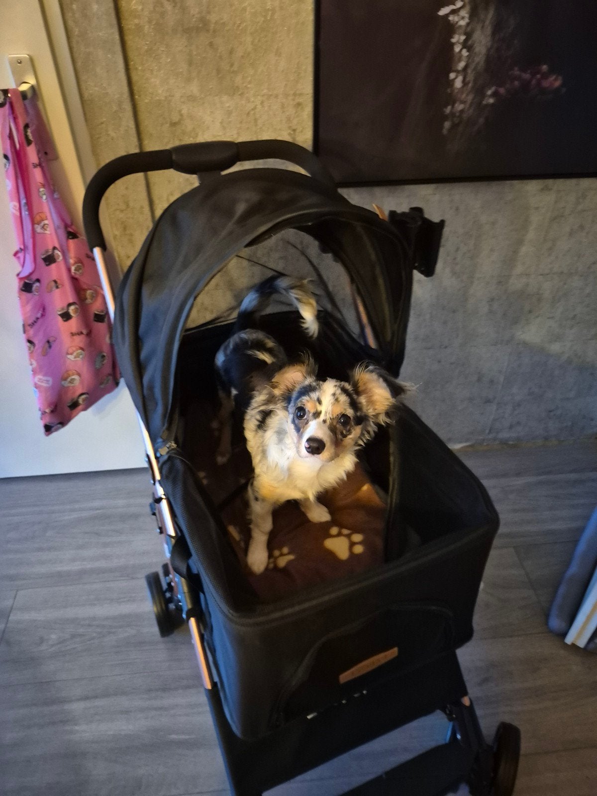 luxe honden buggy, Ophalen, Zo goed als nieuw, Hondenbuggy