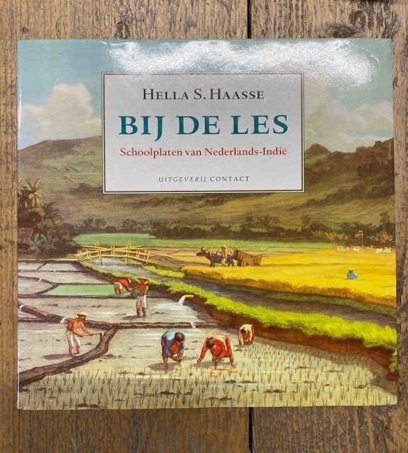 Boek - 664 - Bij de Les - Hella S. Haasse, Boeken, Ophalen of Verzenden, Zo goed als nieuw