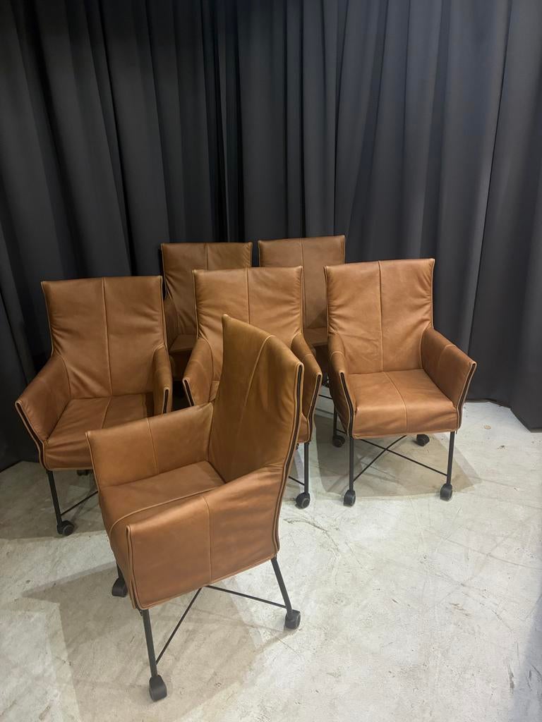 6 Montis Chaplin stoelen nieuw rancho leer zwart frame wiel, Ophalen, Bruin, ., Leer