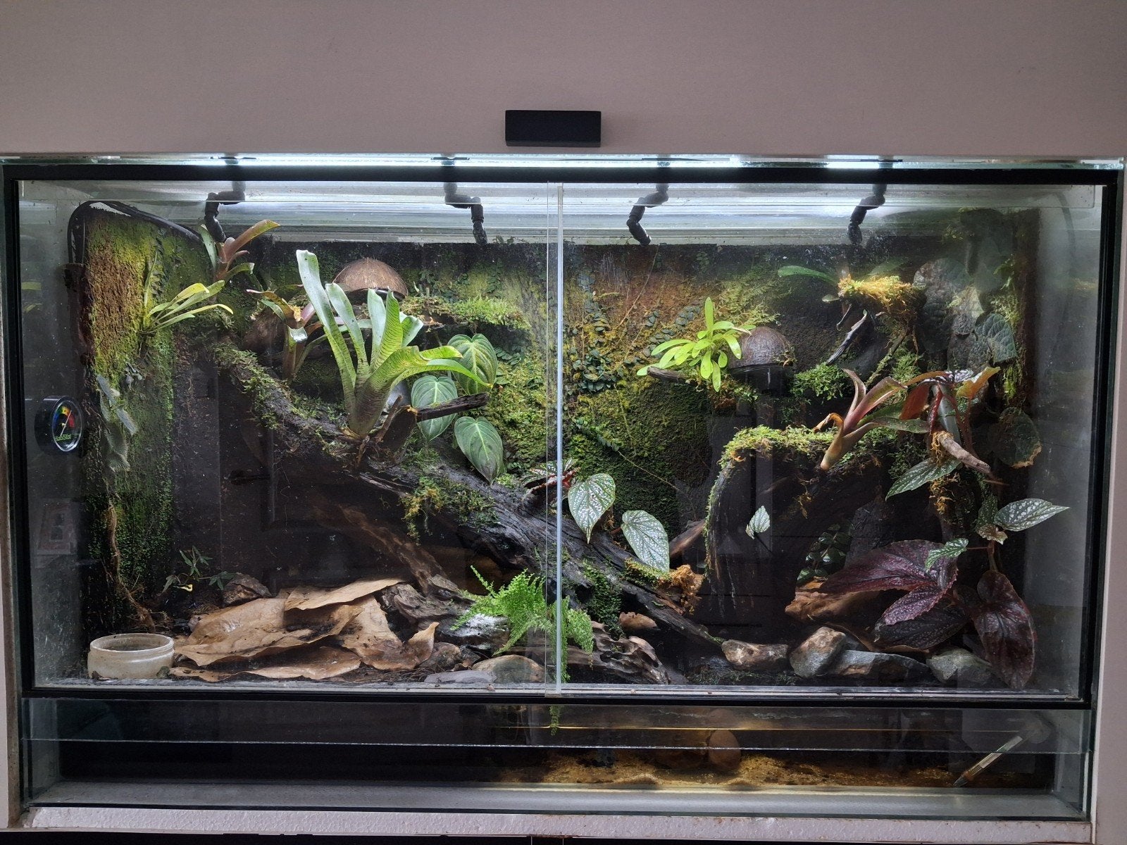 terrarium/paludarium 100x45x60cm, Dieren en Toebehoren, Reptielen en Amfibieën | Toebehoren, Ophalen, Zo goed als nieuw