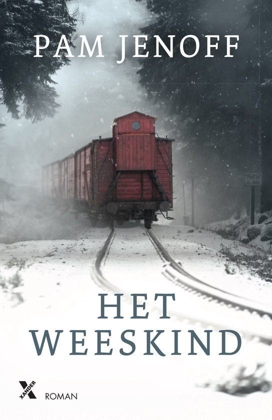 Pam jenoff: het weeskind, Ophalen of Verzenden, Gelezen