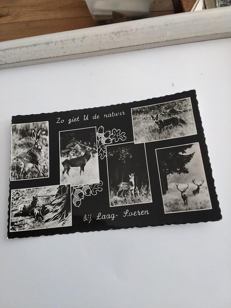 LAAG SOEREN. 1964, Ophalen of Verzenden, 1960 tot 1980, Gelderland