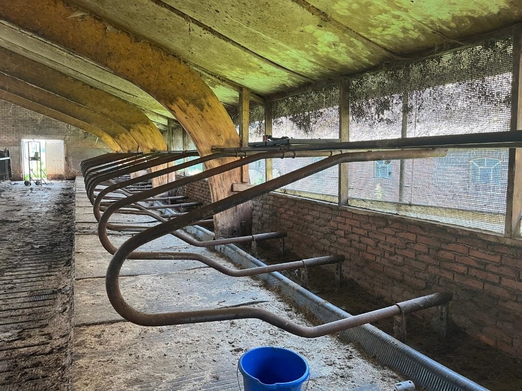 Stal ligboxen, Dieren en Toebehoren, Stalling en Weidegang, Stalling