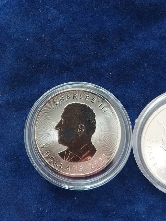 Maple Leaf 2026 1 oz zilver, Ophalen of Verzenden, Zilver