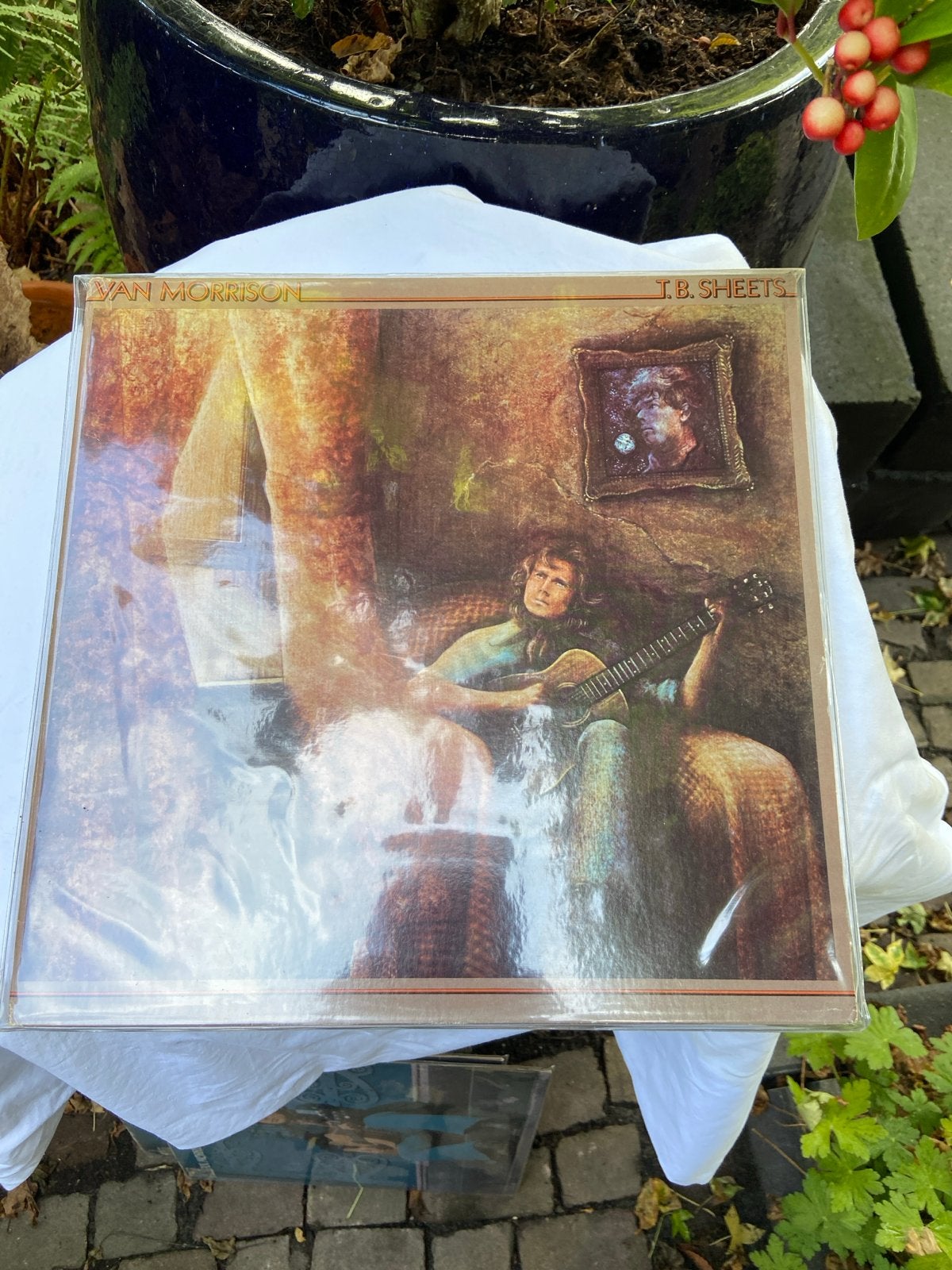 Van Morrison - T.B. Sheets LP (Pop/Rock), LP, Gebruikt, Pop, Ophalen of Verzenden