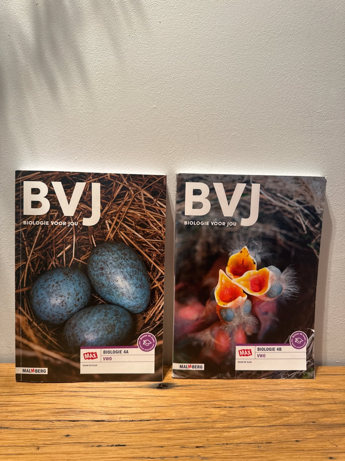 BVJ Biologie voor jou 4A en 4B VWO Malmberg, Boeken, Ophalen of Verzenden, Gelezen, VWO, Biologie