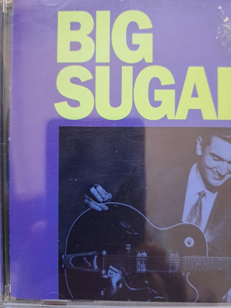 cd Big Sugar - Big Sugar (1993), Ophalen of Verzenden, 1980 tot heden, Gebruikt, Blues