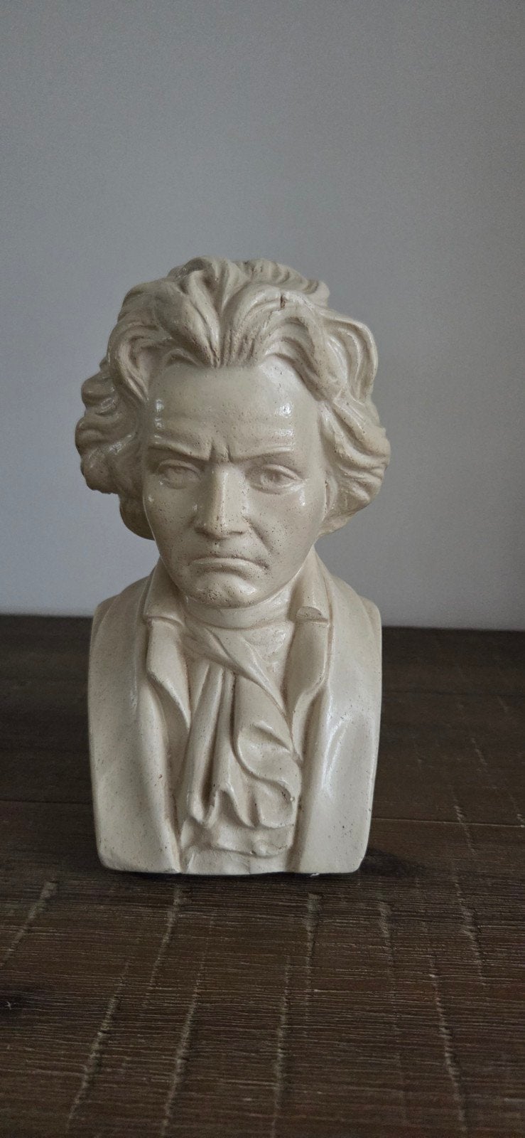 Buste van Beethoven - 20 cm hoog, Ophalen, Buste, 20 - 50 cm, Man