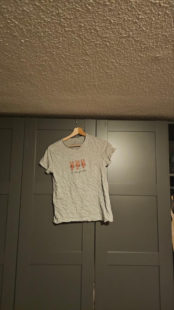 Shirt primark maat s, Kleding | Heren, T-shirts, Ophalen of Verzenden, Zo goed als nieuw, Grijs, Maat 46 (S) of kleiner