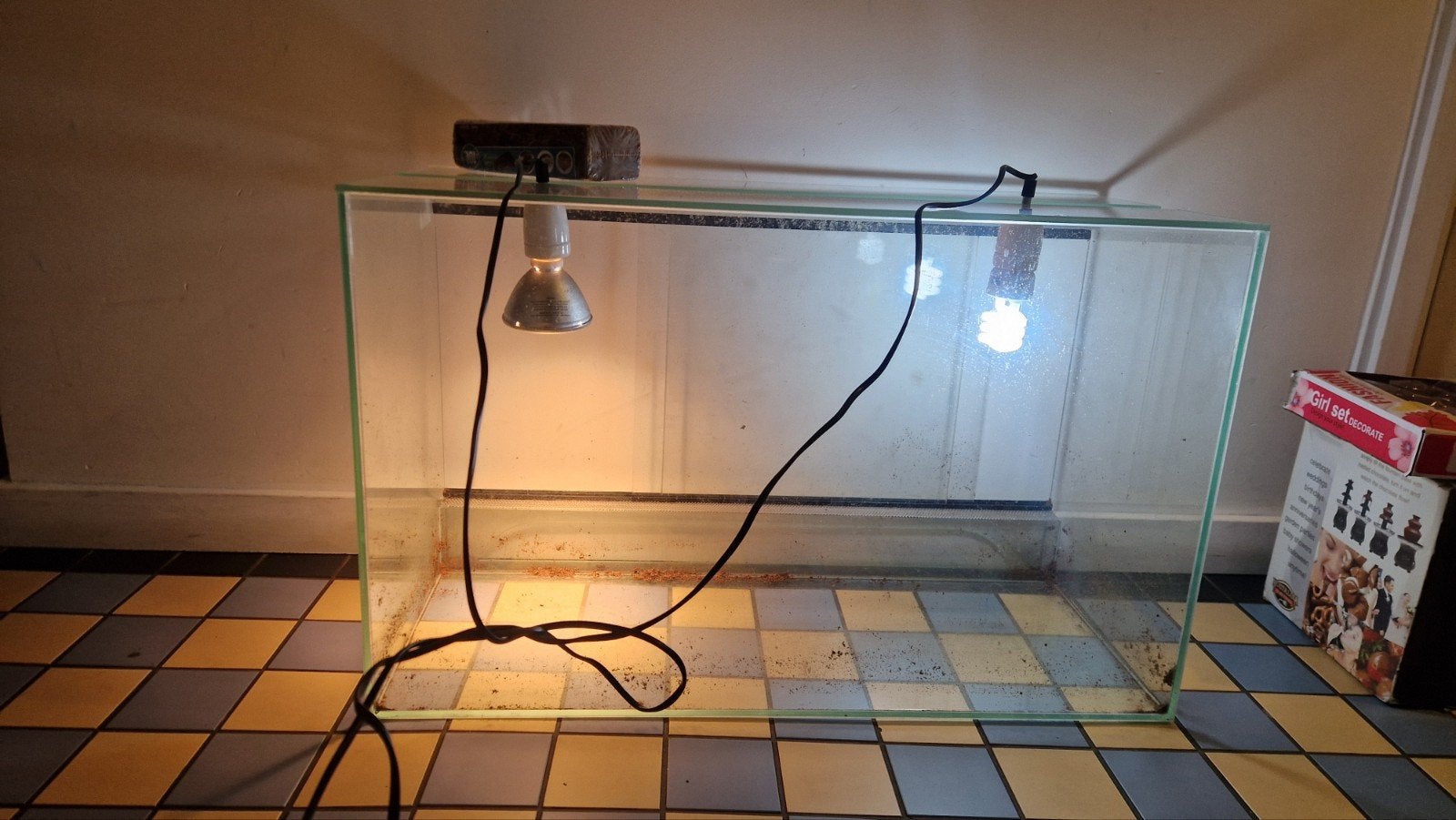 terrarium voor reptielen zoals schildpadden, Dieren en Toebehoren, Ophalen, Zo goed als nieuw