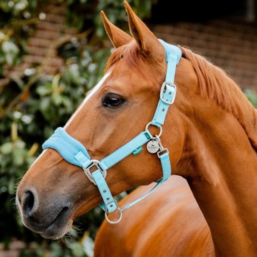 Nieuw Horseware Signature Transportdeken + Grooming Halster, Full (L), Nieuw, Ophalen of Verzenden, 50 g