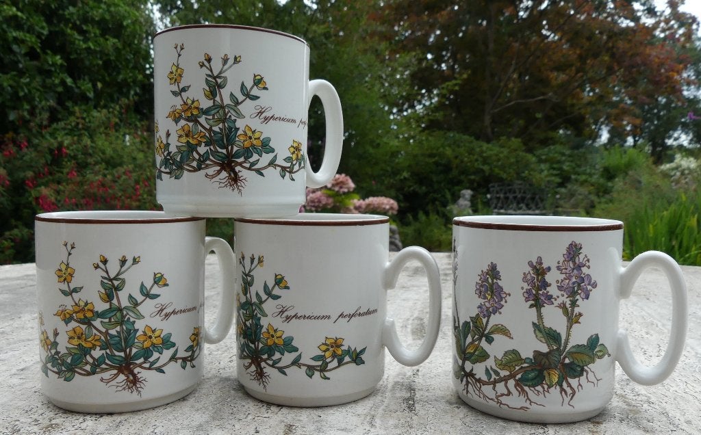 Set 4 nieuwe Villeroy & Boch Botanica Ovenschalen + Mokken, Klassiek, Villeroy & Boch, Nieuw, Ophalen of Verzenden