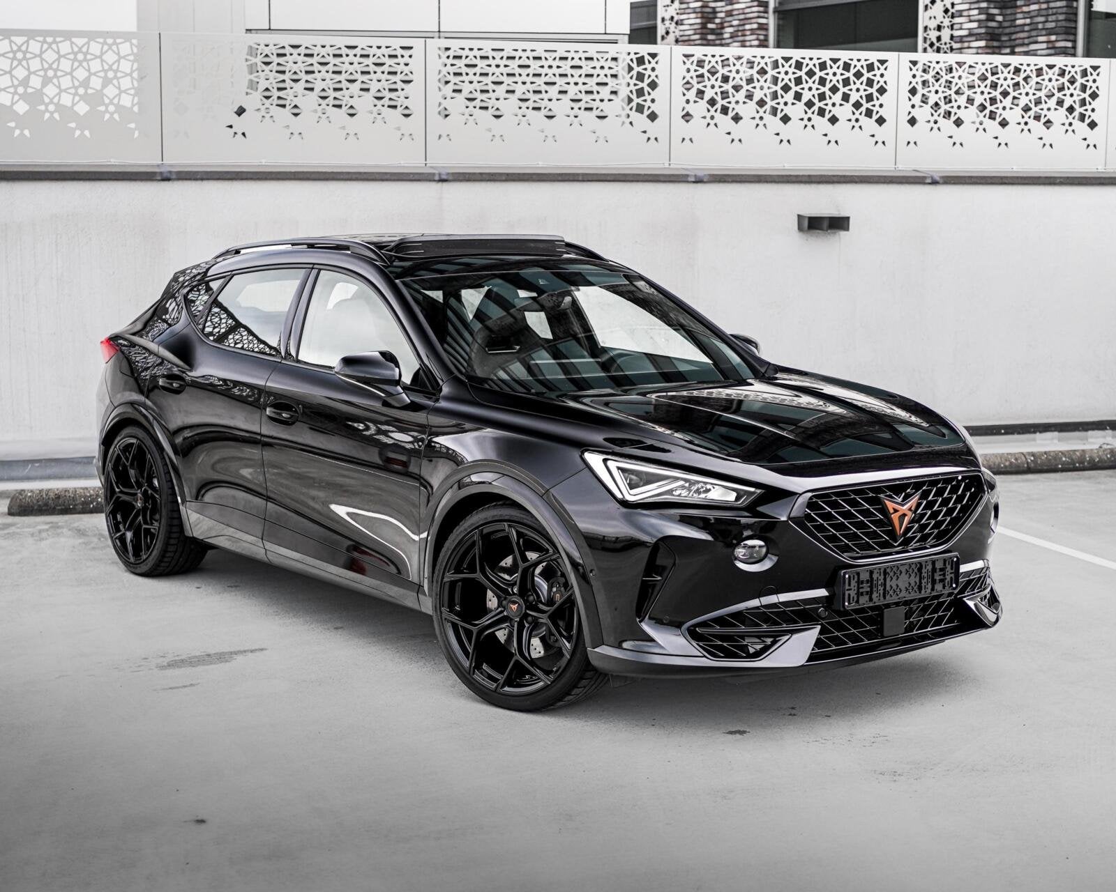 CUPRA Formentor 2.0 TSI 4DRIVE 310PK | PANO | DOWNPIPE | DDC, Auto's, Cupra, Bedrijf, Te koop, Formentor, 4x4, ABS, Achteruitrijcamera