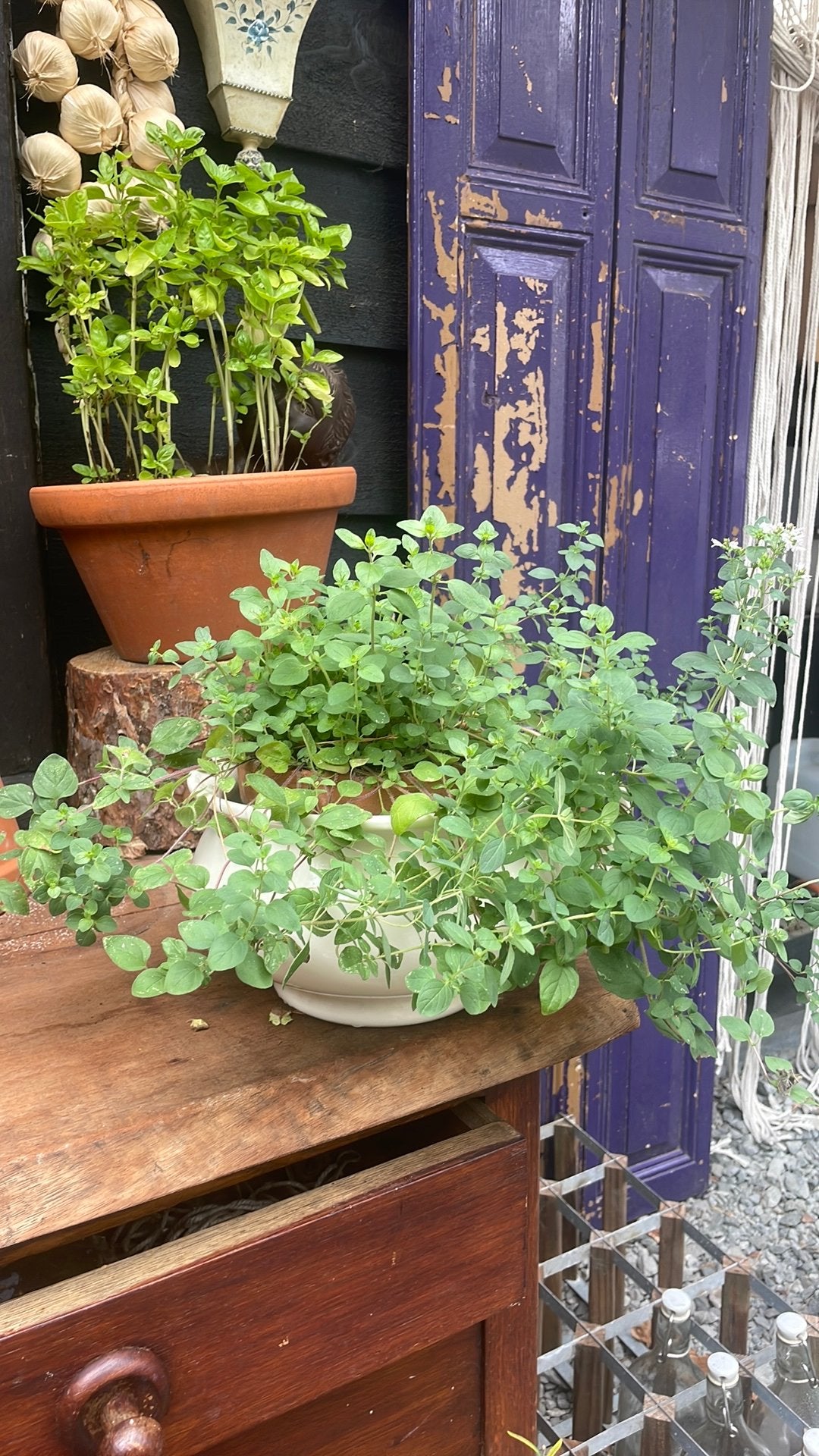Brocante schaal/pot creme/wit, Tuin en Terras, Steen, Minder dan 30 cm, Verzenden, Rond