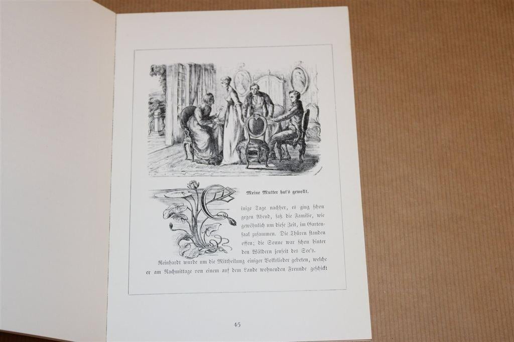 Immensee van Theodor Storm — Facsimile Editie [1857], Boeken, Ophalen of Verzenden, Gelezen
