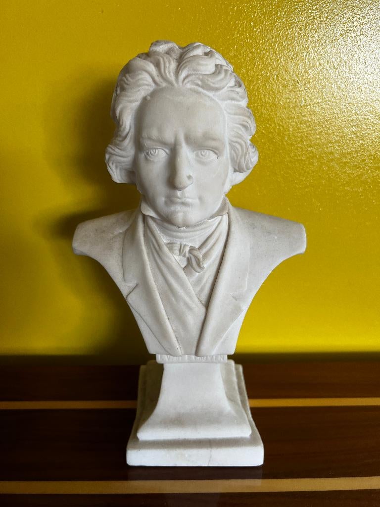 Buste Ludwig von Beethoven., Antiek en Kunst, Kunst | Beelden en Houtsnijwerken, Ophalen of Verzenden