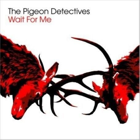 Pigeon Detectives, Ophalen of Verzenden, Gebruikt, Poprock