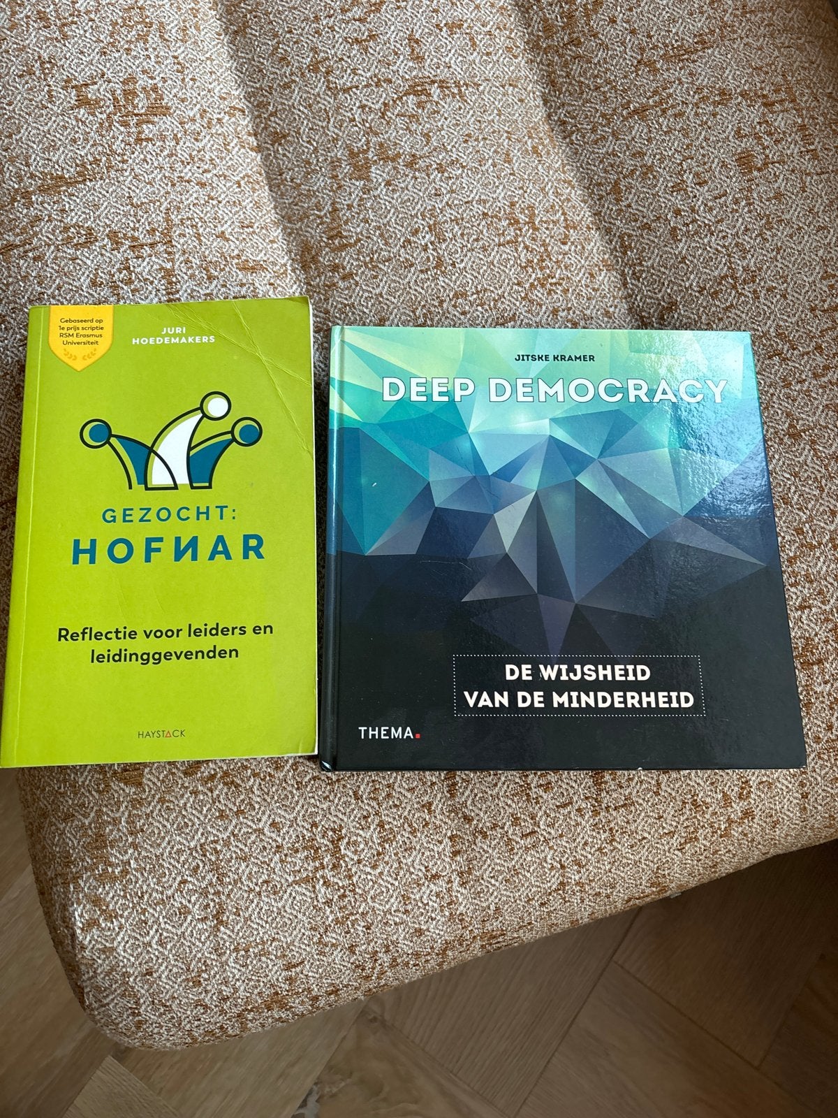 Management boeken: Hofnar & Deep Democracy, Boeken, Ophalen of Verzenden, Zo goed als nieuw, Management