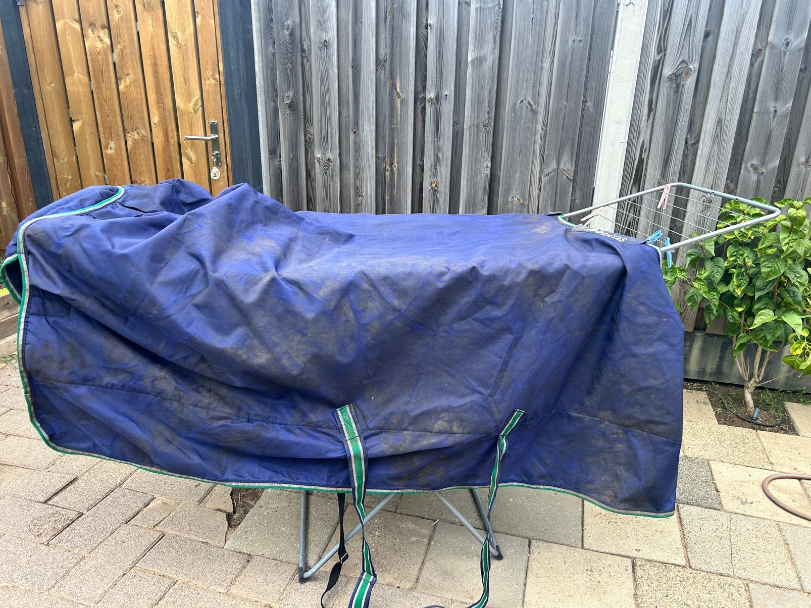 Bucas smartex big neck 6,6, Dieren en Toebehoren, Ophalen of Verzenden, Gebruikt