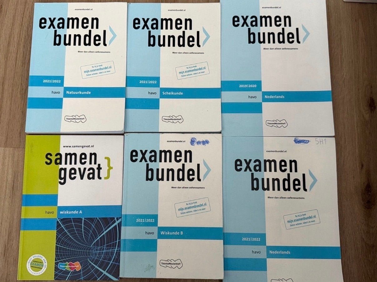 Examenbundels en Samengevat HAVO, Boeken, Schoolboeken, Ophalen of Verzenden, Gelezen, HAVO, Overige vakken
