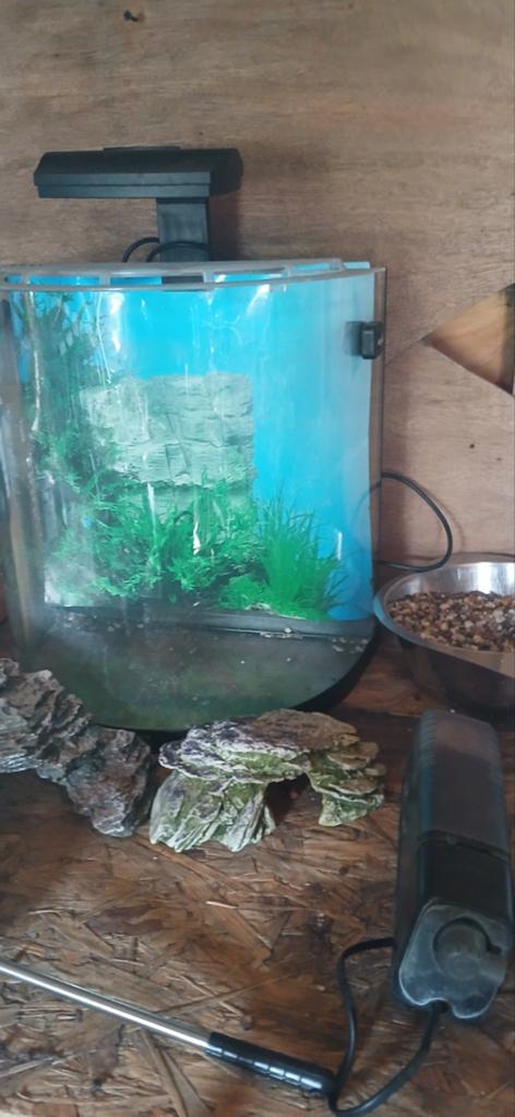 Compleet aquarium tetra, Dieren en Toebehoren, Vissen | Aquaria en Toebehoren, Ophalen, Zo goed als nieuw, Leeg aquarium
