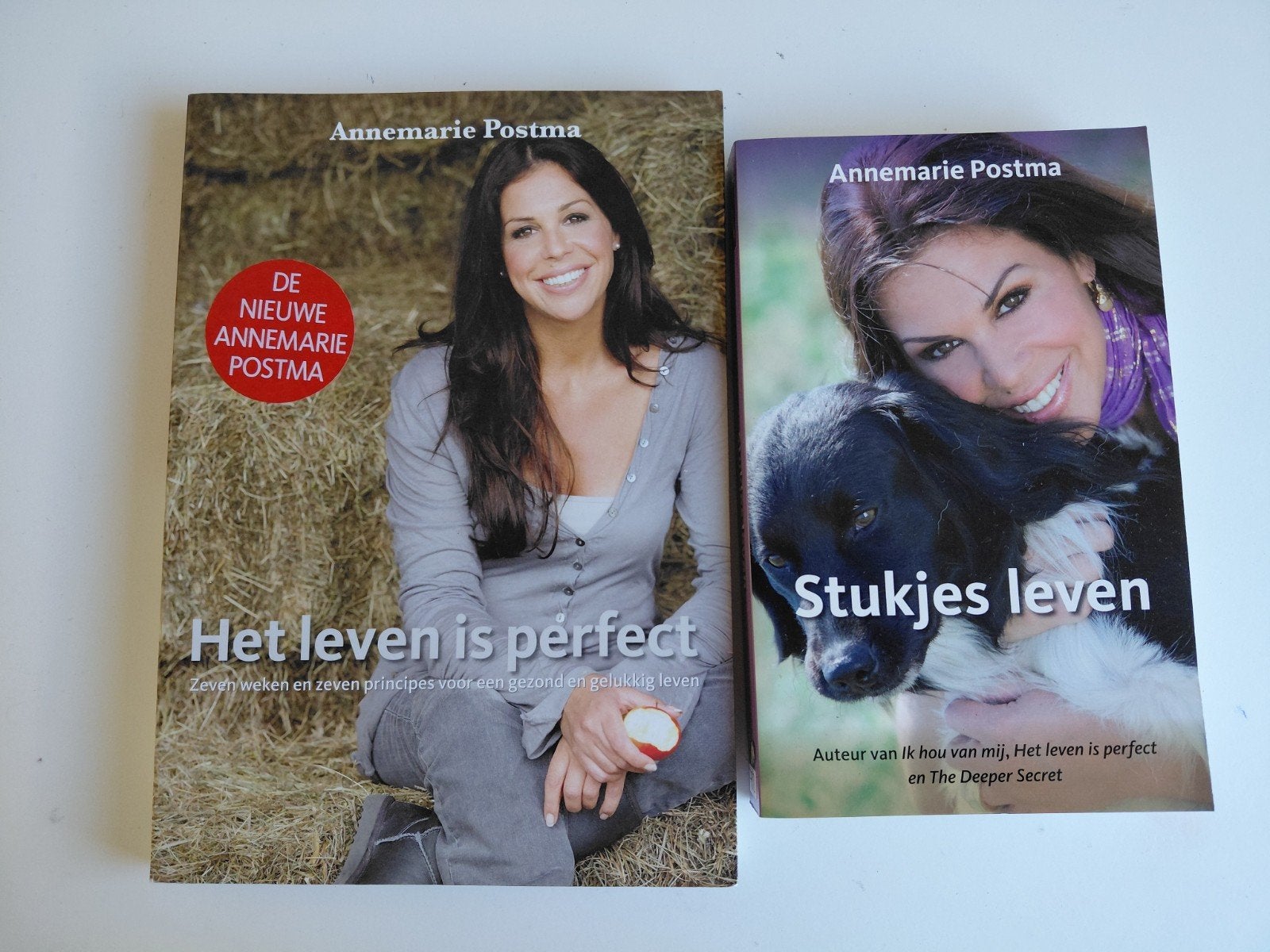 Annemarie Postma - Stukjes leven, Ophalen of Verzenden, Zo goed als nieuw, Annemarie Postma