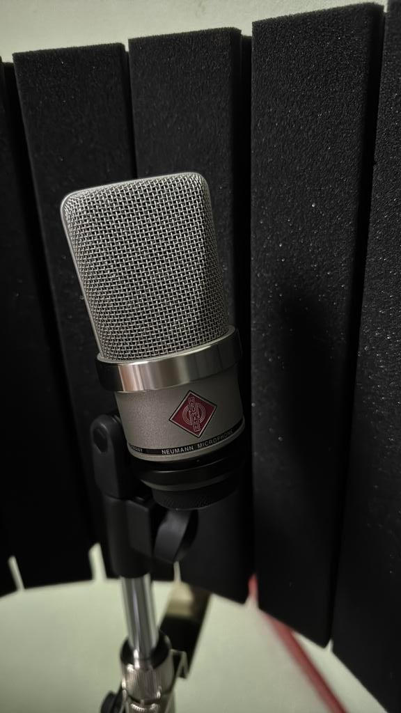 Neuman TLM 102 studiomicrofoon, Muziek en Instrumenten, Microfoons, Ophalen of Verzenden, Zo goed als nieuw