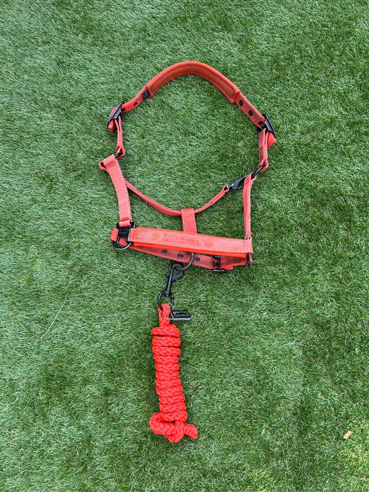 Eskadron halster set oranje, Gebruikt, Halster, Cob, Oranje
