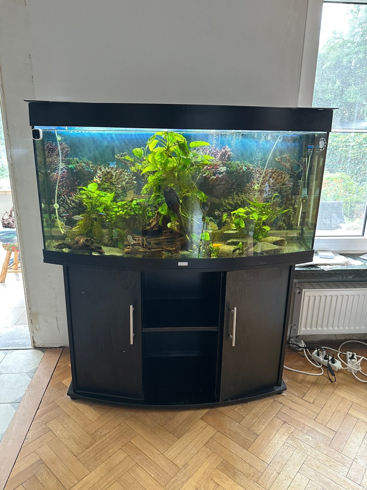 Aquarium juwel vision 260, Ophalen, Zo goed als nieuw, Leeg aquarium