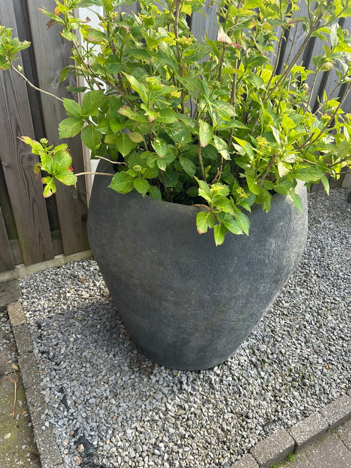 Grote Bloempotten, Tuin en Terras, Bloembakken en Plantenbakken, Ophalen, Kunststof, Gebruikt, Rond